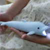 Rabbit & Friends Taschenlampe | Delfin
