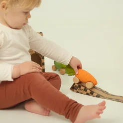 Spielzeugauto | Cathy the Carrot
