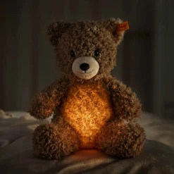 Teddybär Caspar | Light at Night