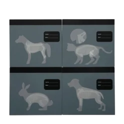 Tierarzt-Tasche mit Hase