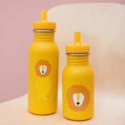 Trinkflasche Mr. Lion | 500 ml
