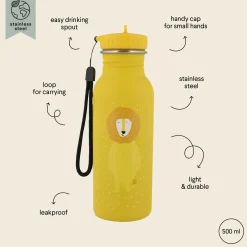 Trinkflasche Mr. Lion | 500 ml