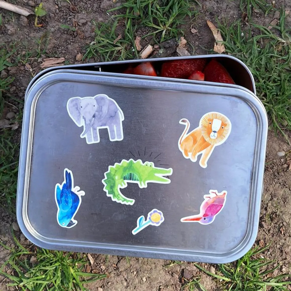 Wasserfeste Kindersticker | Wilde Tiere