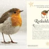 Wundervolle Welt der Vögel