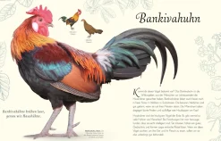 Wundervolle Welt der Vögel