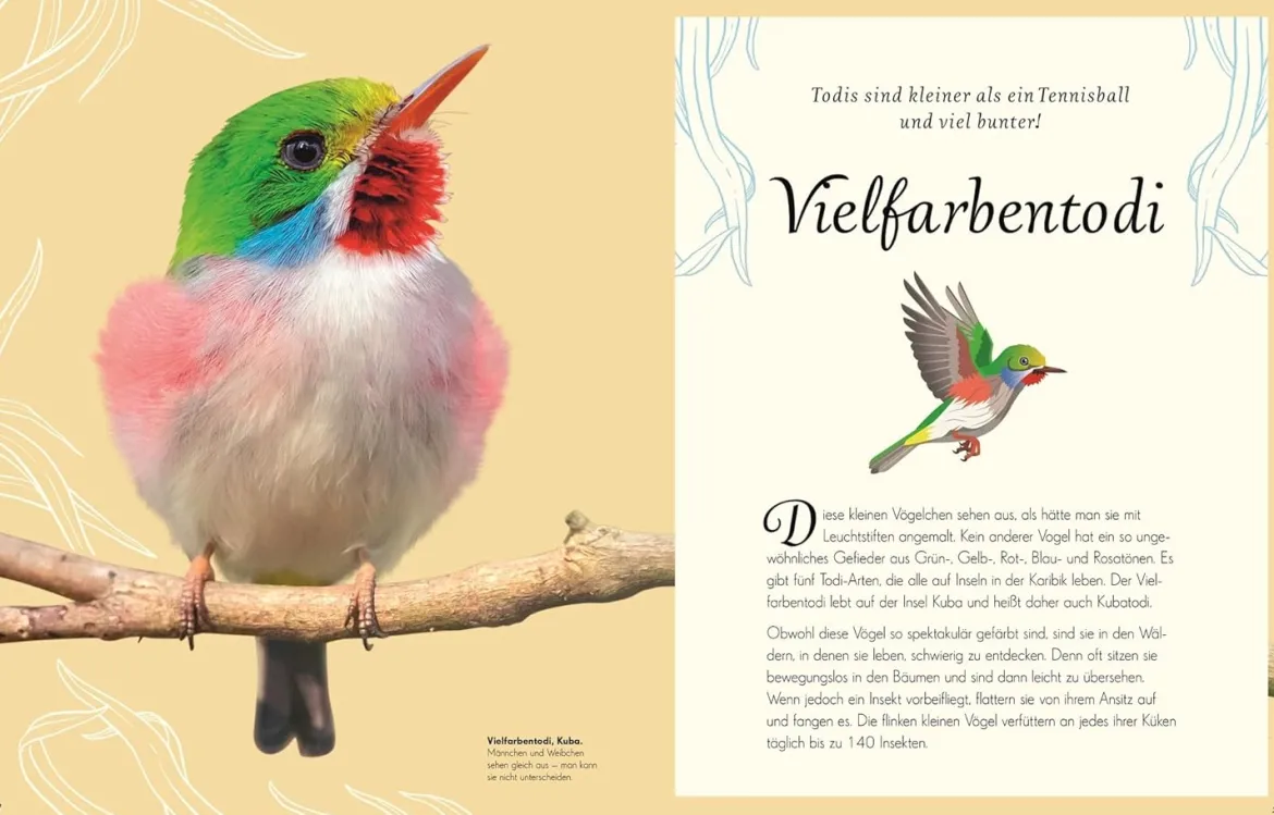 Wundervolle Welt der Vögel