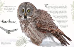 Wundervolle Welt der Vögel