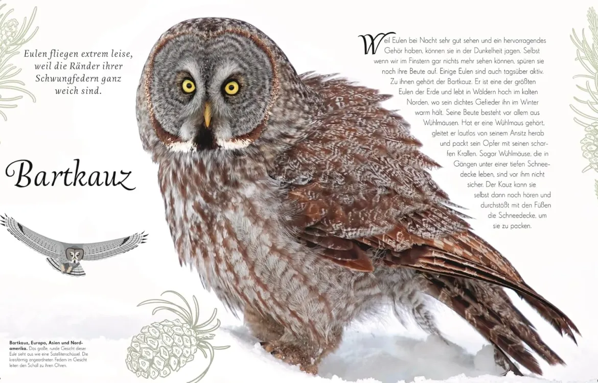 Wundervolle Welt der Vögel