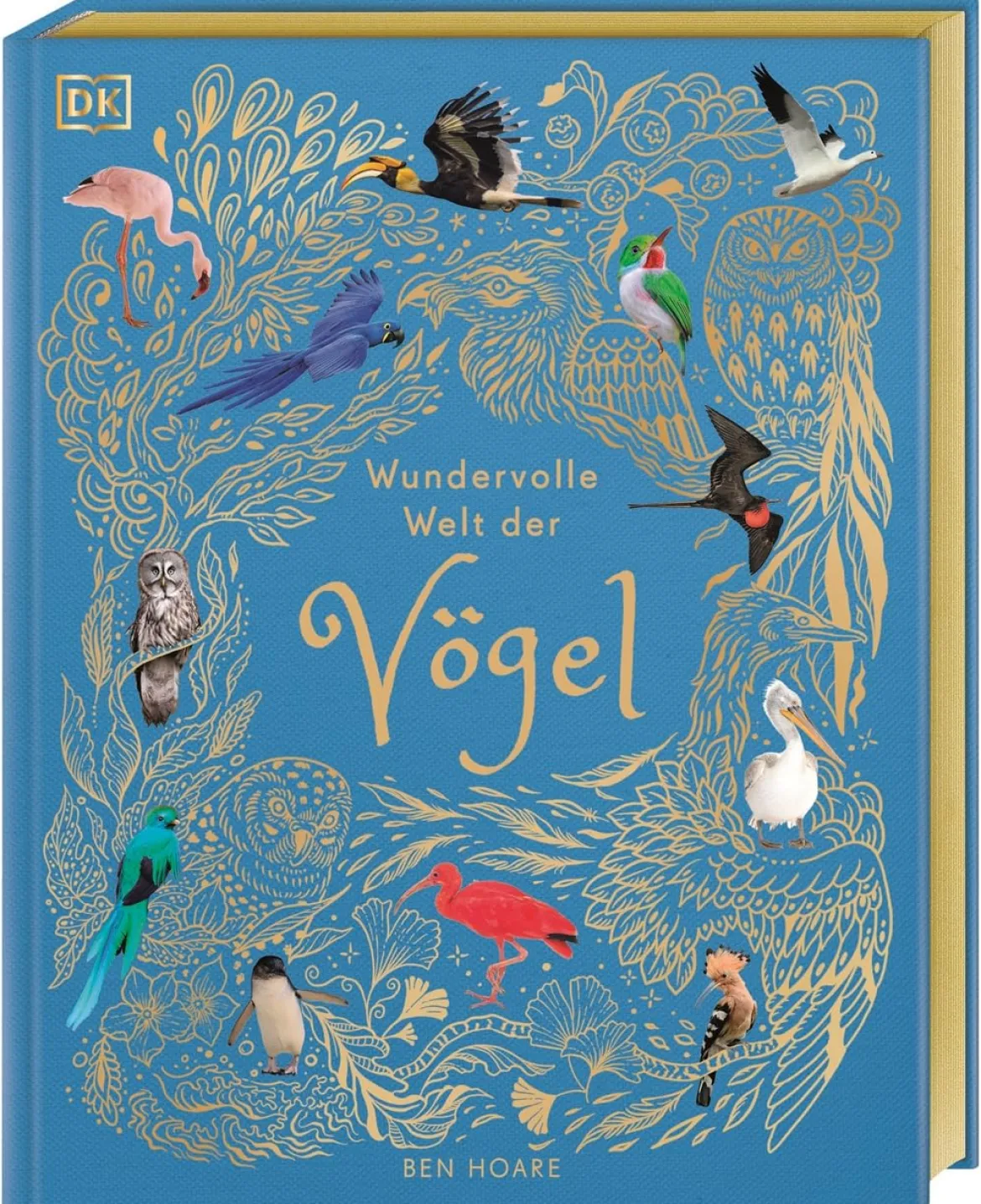 Wundervolle Welt der Vögel