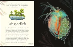 Wundervolle Welt. Wasser