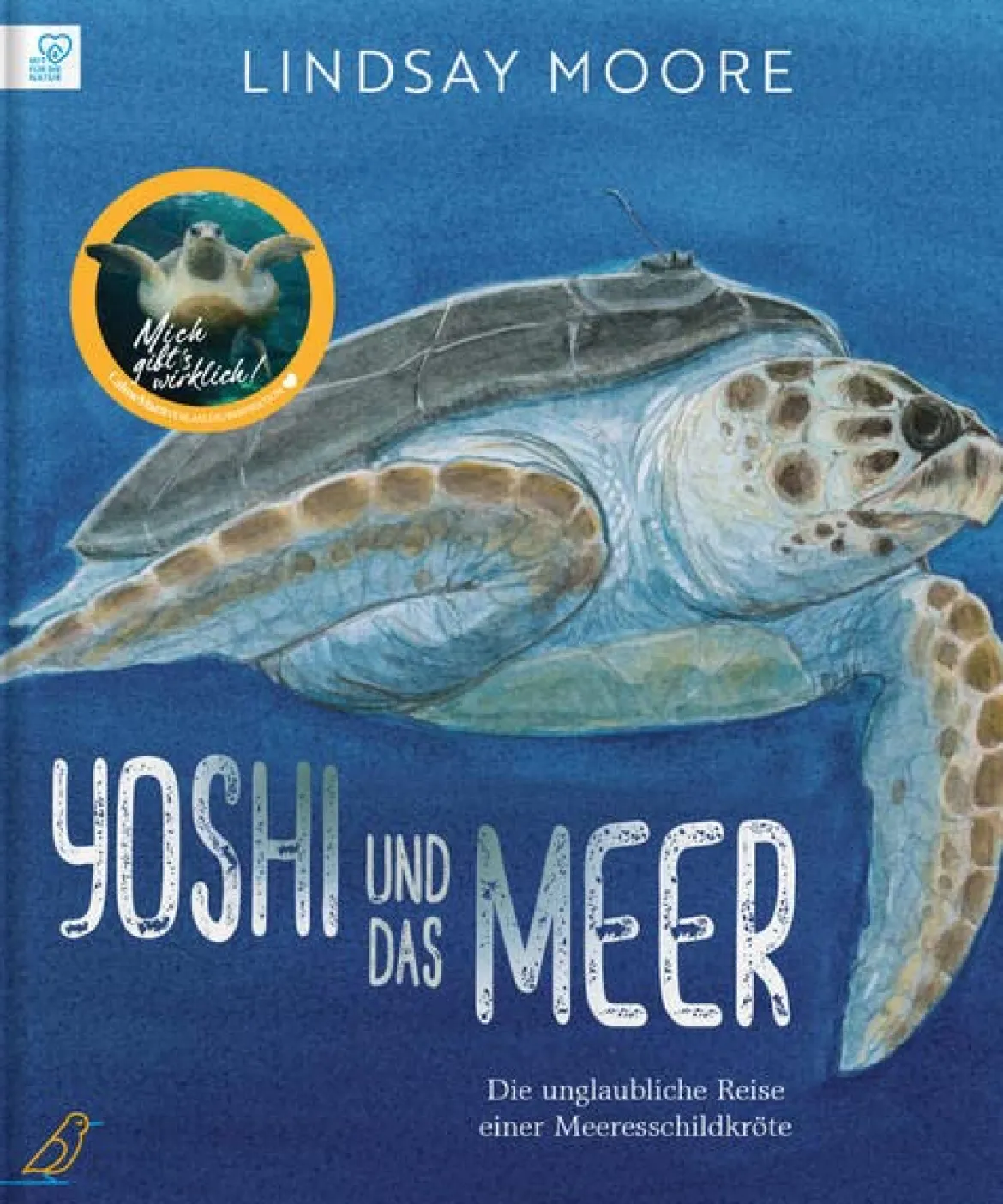 Yoshi und das Meer