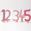 Zahlenstecker Set 1-5 | Rosa